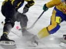 В Первоуральске пройдут соревнования по хоккею с мячом памяти Александра Мальцева