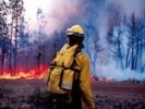 Площадь природных пожаров в России увеличилась на четверть