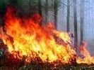 В Свердловской области действуют три природных пожара