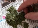 За хранение 44 кг марихуаны житель Хабаровского края приговорен к штрафу и условному сроку
