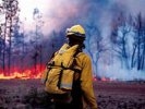 На территории ГО Первоуральск зарегистрировано 3 природных пожара