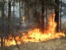 В Бурятии местного жителя обязали выплатить 3,5 млн рублей за обед, ставший причиной лесного пожара
