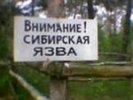 Число заболевших сибирской язвой на Алтае увеличилось до 8
