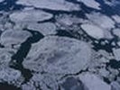 Ученые: площадь морского льда в Арктике снизилась до рекордного уровня