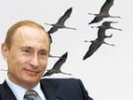 Путин прокомментировал полет с журавлями: со второй попытки со мной все полетели