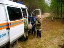 Группа грибников-врачей из Первоуральска заблудилась в окрестных лесах