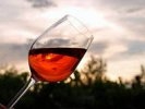 В 2012 году урожай винограда в России будет меньше на 40%, вино подорожает на 15%