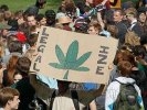 Губернатор Колорадо подписал закон о легализации марихуаны