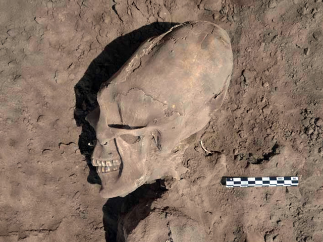 В мексиканской деревне обнаружили тысячелетний череп "чужого"