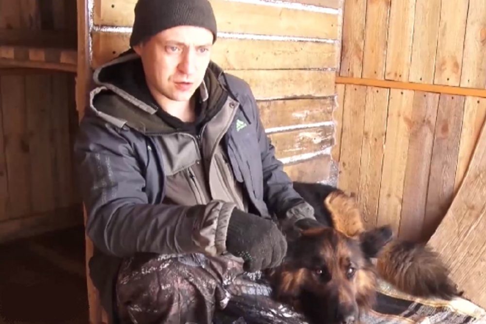 Волонтеры из Первоуральска спасли собаку, дрейфовавшую на льдине двое суток