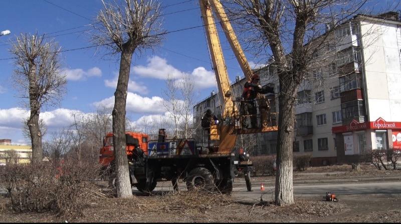 В Первоуральске продолжают кронирование деревьев и уборку улиц