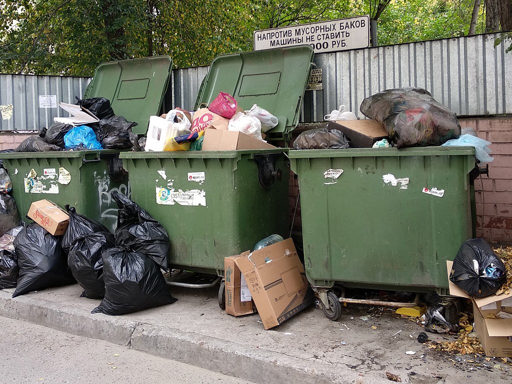 СМИ рассказали о риске остановки работы мусорных операторов в России