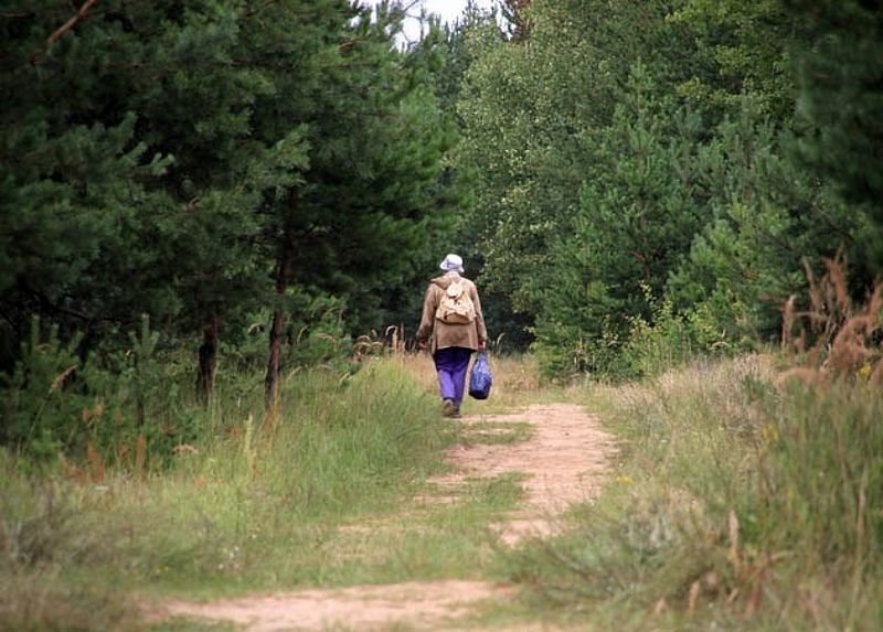 Четыре дня блуждавшую по лесу 83-летнюю женщину нашли охотники
